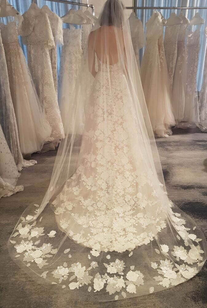 Messa Veil