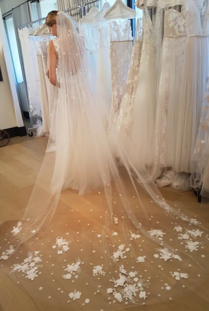 Verona veil